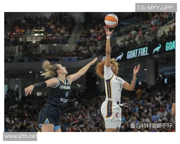 2023年WNBA最新排名分析及球队表现综述