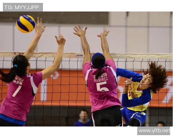 8月4日女排对决精彩回顾赛场激情与团队精神的完美展现 8月4日女排对决精彩回顾赛场激情与团队精神的完美展现