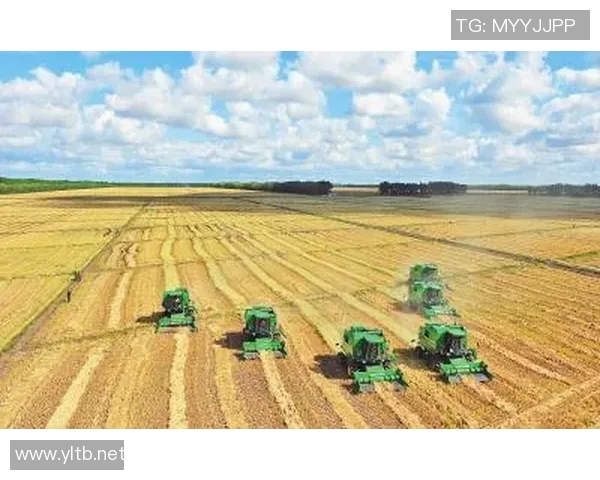 低杆技术的创新与应用探索推动农业现代化发展新局面