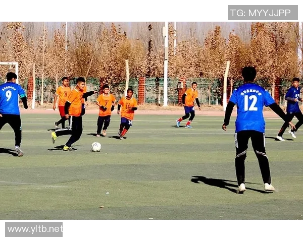 莎车县足球比赛现场直播精彩瞬间回顾与赛况分析全方位呈现