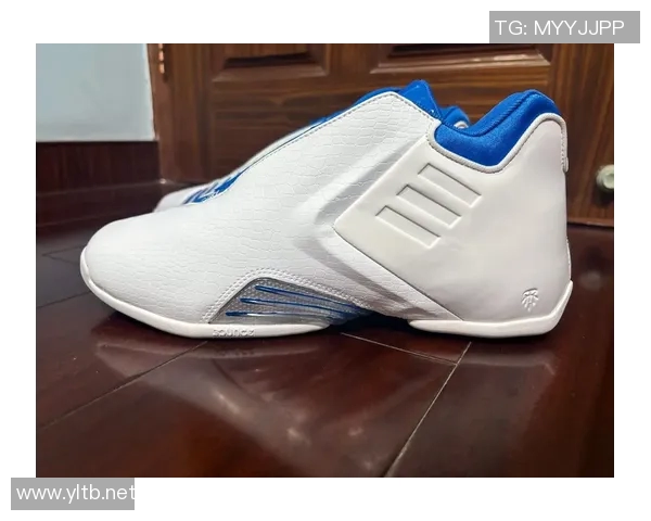 麦迪领衔老鹰对决热火激情碰撞NBA经典对决再现赛场风云