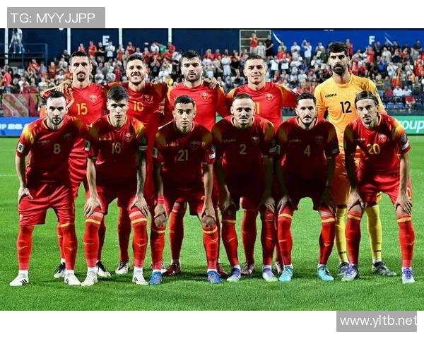 塞尔维亚与葡萄牙足球对决全方位分析及赛前展望